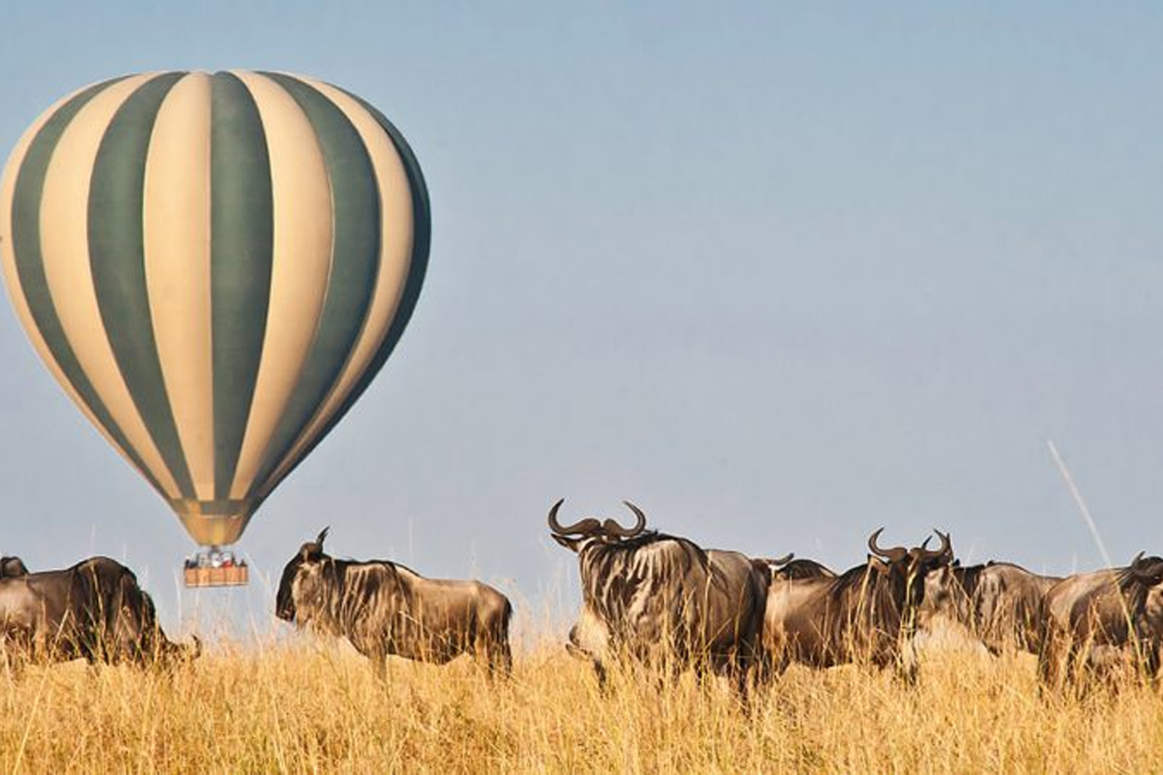 Masai Mara Safari  