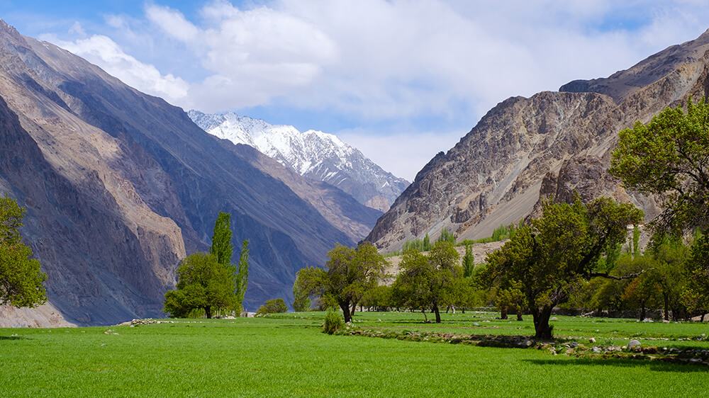 Manali to Leh