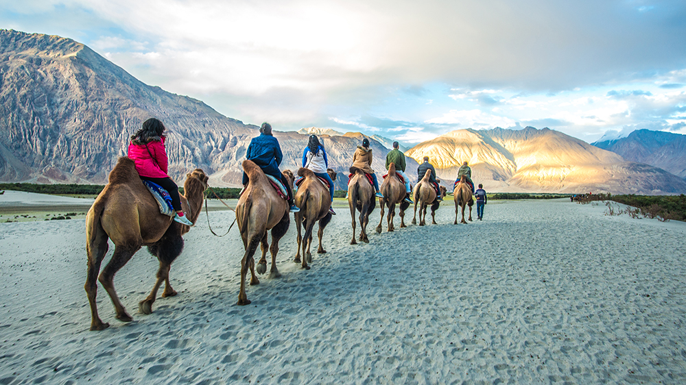 Manali to Leh