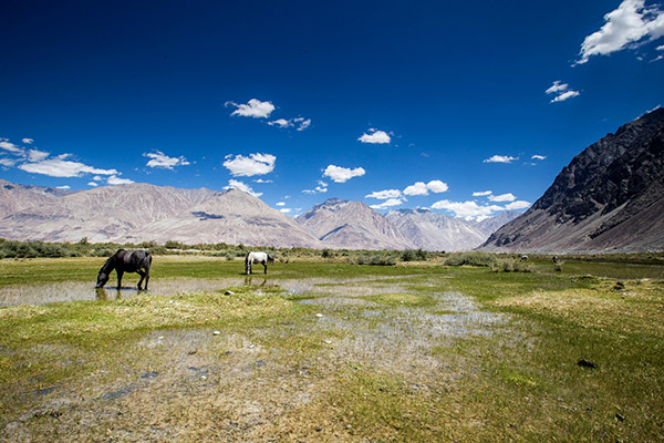 Leh & Ladakh – Pack, Explore, Unwind